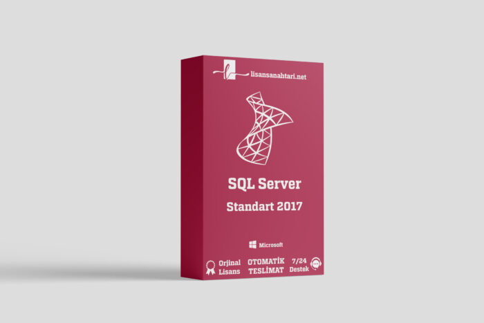 Microsoft SQL Server 2017 Standard Lisans Anahtarı